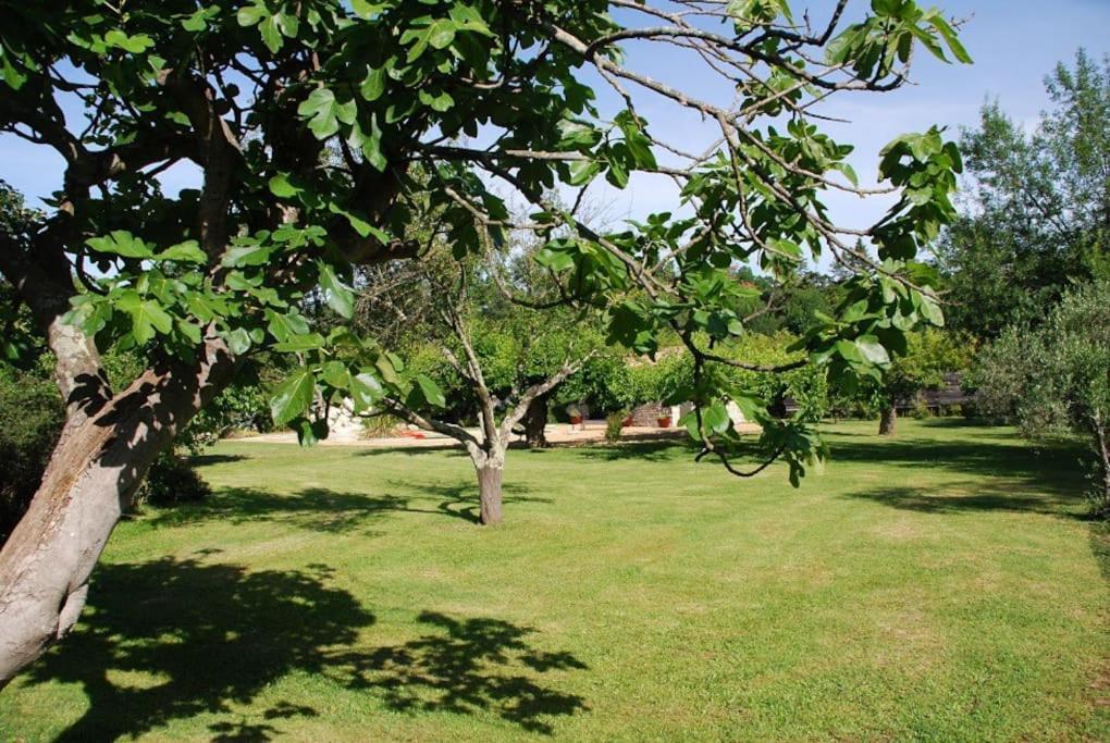 Gite De Charme 80 M², Piscine, Proche D'Uzes. Vezenobres Екстер'єр фото